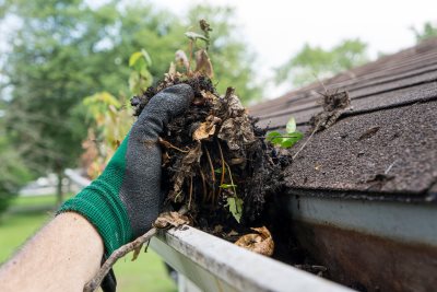 Gutter Cleaning in Lake Park, North Carolina